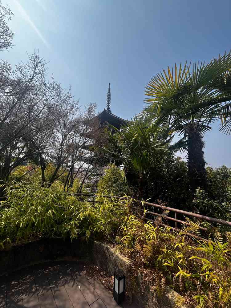 披露宴会場の中庭からの景色