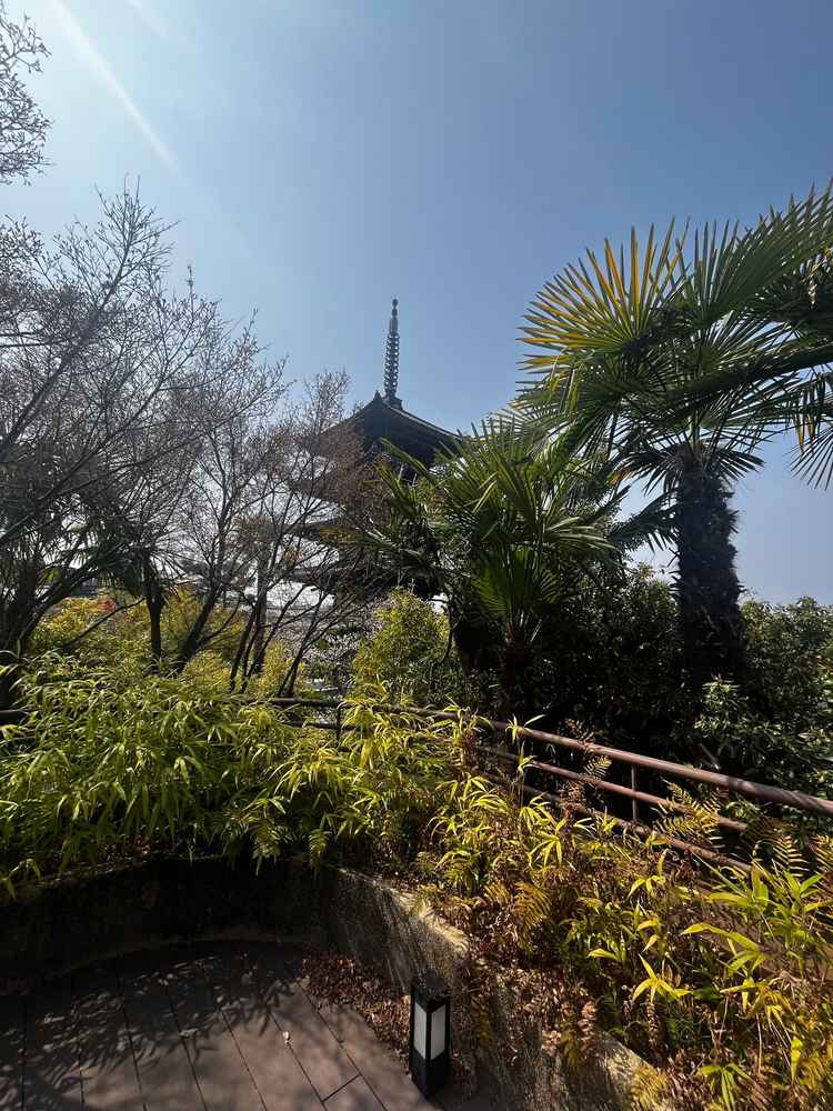 披露宴会場の中庭からの景色