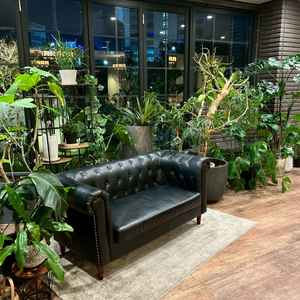 アットホームな披露宴会場。室内でも植物に囲まれる環境は嬉しい