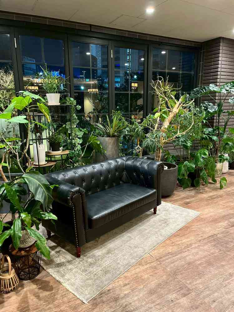 アットホームな披露宴会場。室内でも植物に囲まれる環境は嬉しい