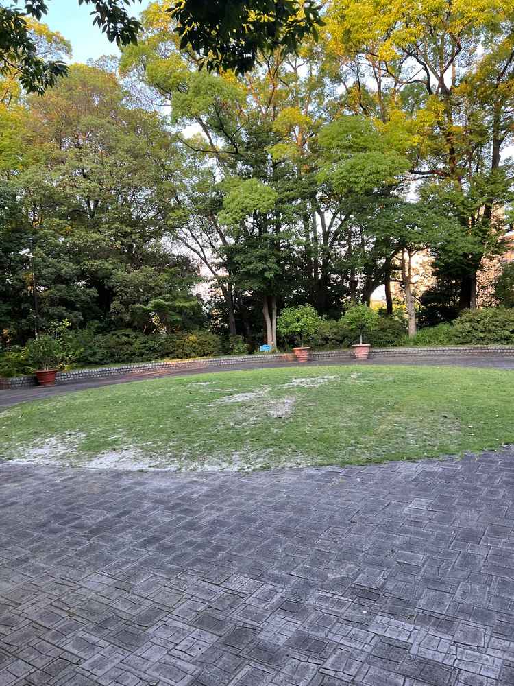 3箇所選べるうちのガーデン奥の挙式会場