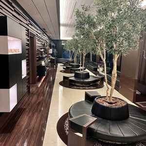 受付はシンプルだけど緑もあってデザイン性がいい。また右側の窓から東京タワーが見れるのもいい。