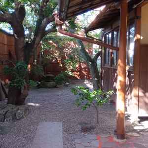 式場玄関前のお庭。フォトストポットして人気だそうです！