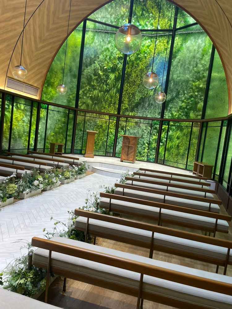 観葉植物のチャペル