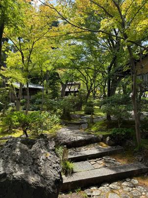 当日玄関からゲストの待合に行くまでに通るお庭です。足元は岩や階段なので、高齢の方は不安かもしれません