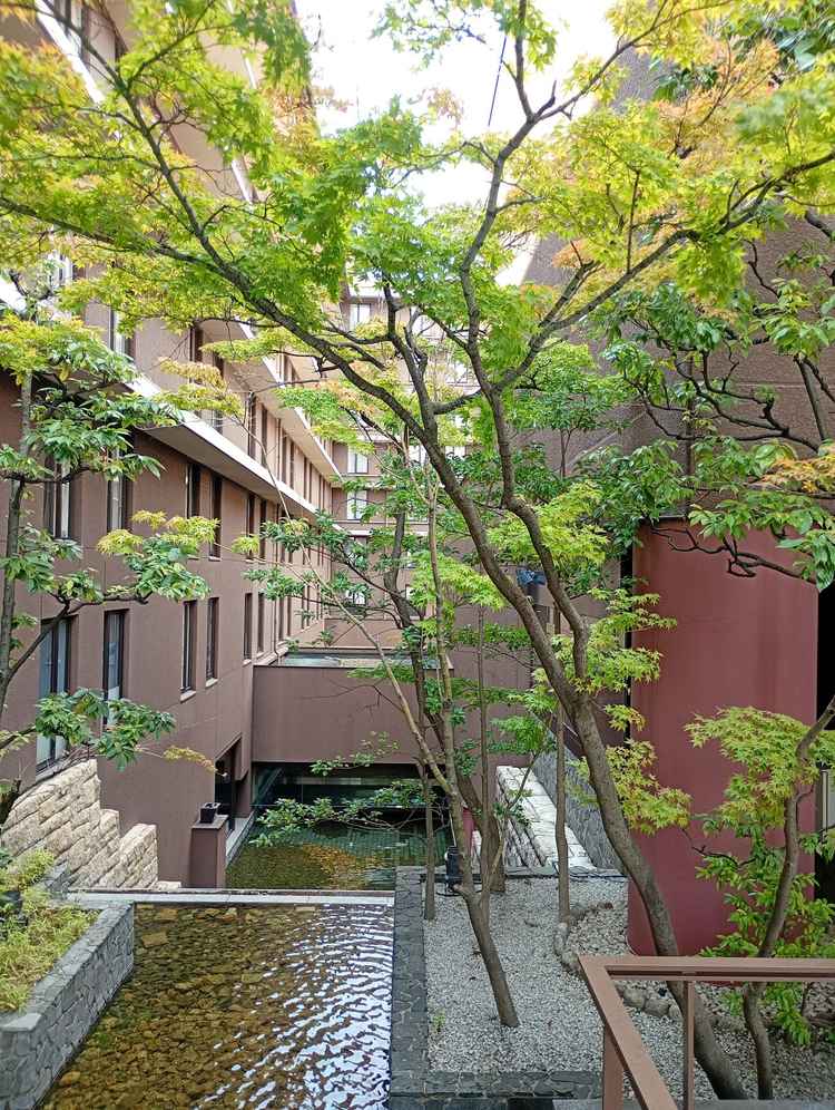 玄関横には堀川の川の庭があり、モミジが植えられていて秋には紅葉するので写真をとるのに良さそうです