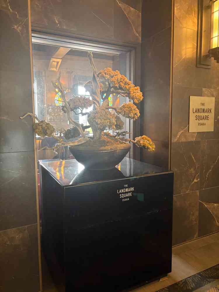 ユーザーが投稿した画像4