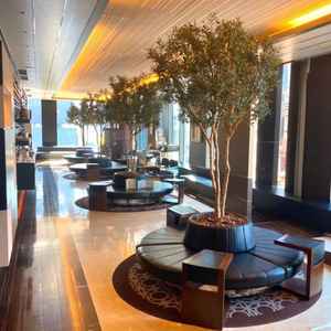 ロビー。受付もここでやるところが良いと思った