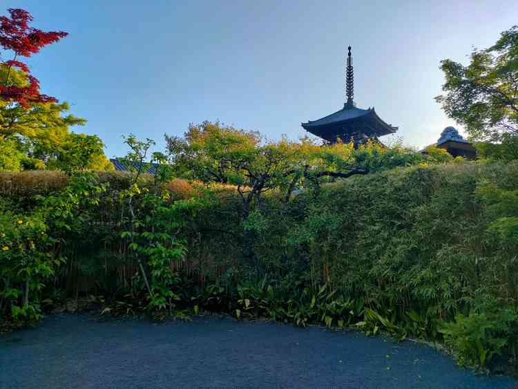 ユーザーが投稿した画像2