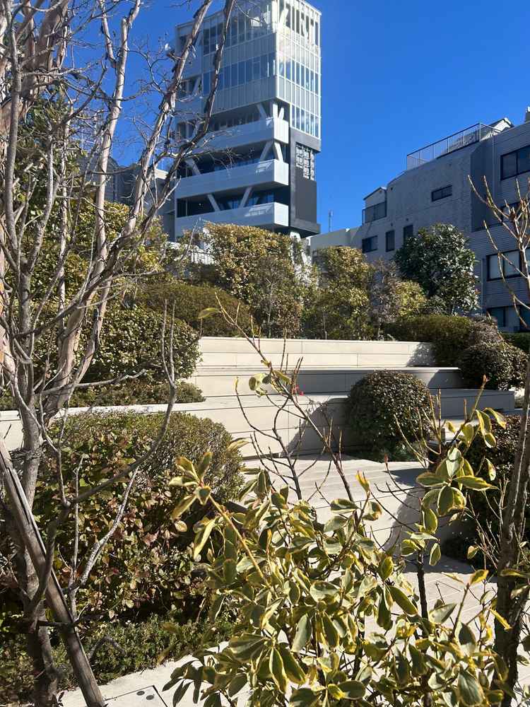 庭園ですが、1月なので枯れてしまっていました。冬は枯れてしまうとお伺いしましたので注意です。