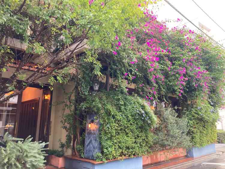 レストランの外観。緑とお花が綺麗です。