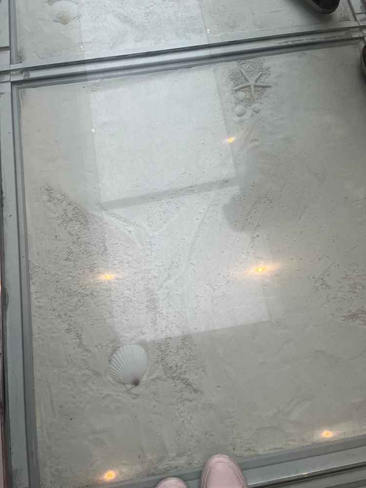 チャペルのバージンロードが砂と貝殻