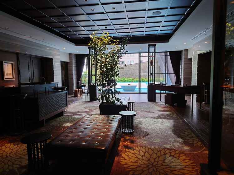 ホテルの受付にも自然光が差し込み、ゲストにもリラックスしていただけそうです。