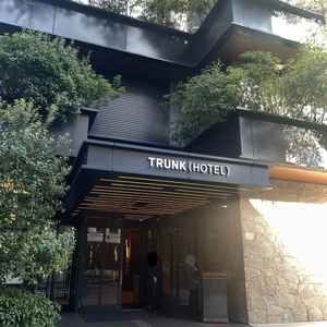 全体を通してモダンな雰囲気で統一されており、緑あふれるエントランスがとても印象的でした。