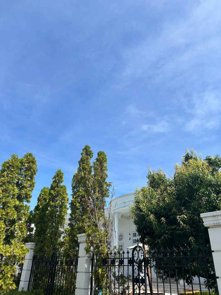 敷地内に入ると細い通路があり、そこを抜けると大きな白い建物が見えます。その瞬間ワクワクし1枚です。