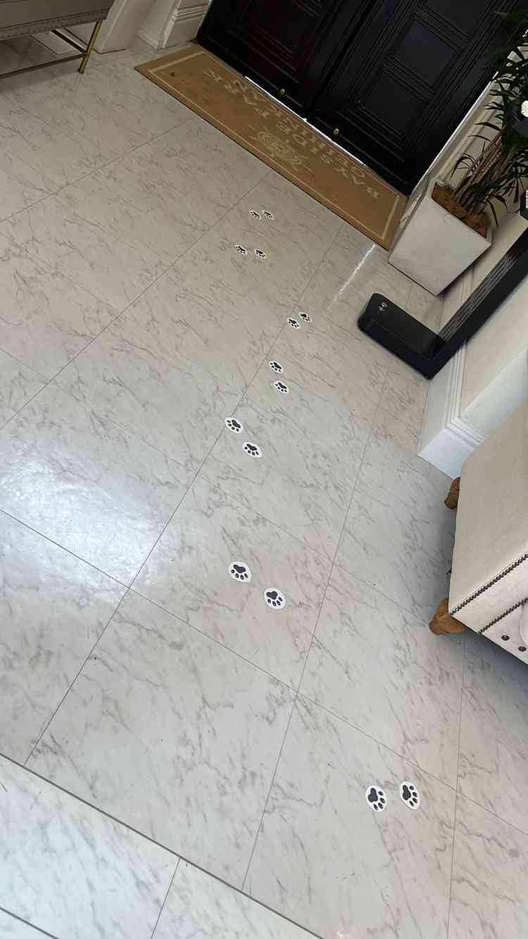 ユーザーが投稿した画像1