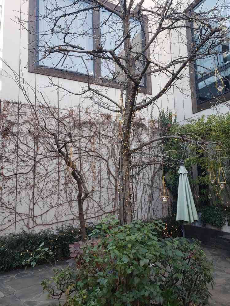 ユーザーが投稿した画像3