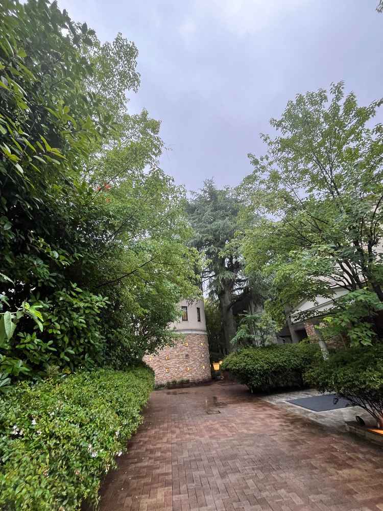 正門から入って奥、披露宴会場の建物です。あいにくの雨でしたが、立派に緑が生い茂っていて綺麗でした。