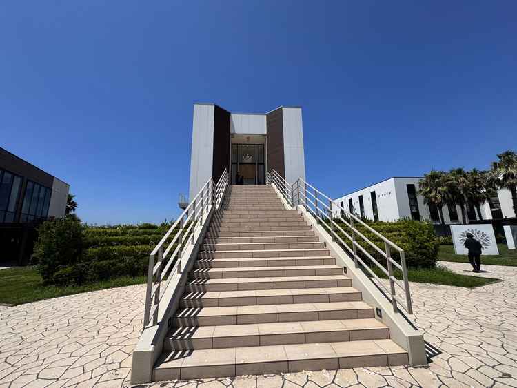 チャペルから外に続く階段(フラワーシャワーをする場所)