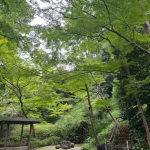 チャペルまでの中庭の道。