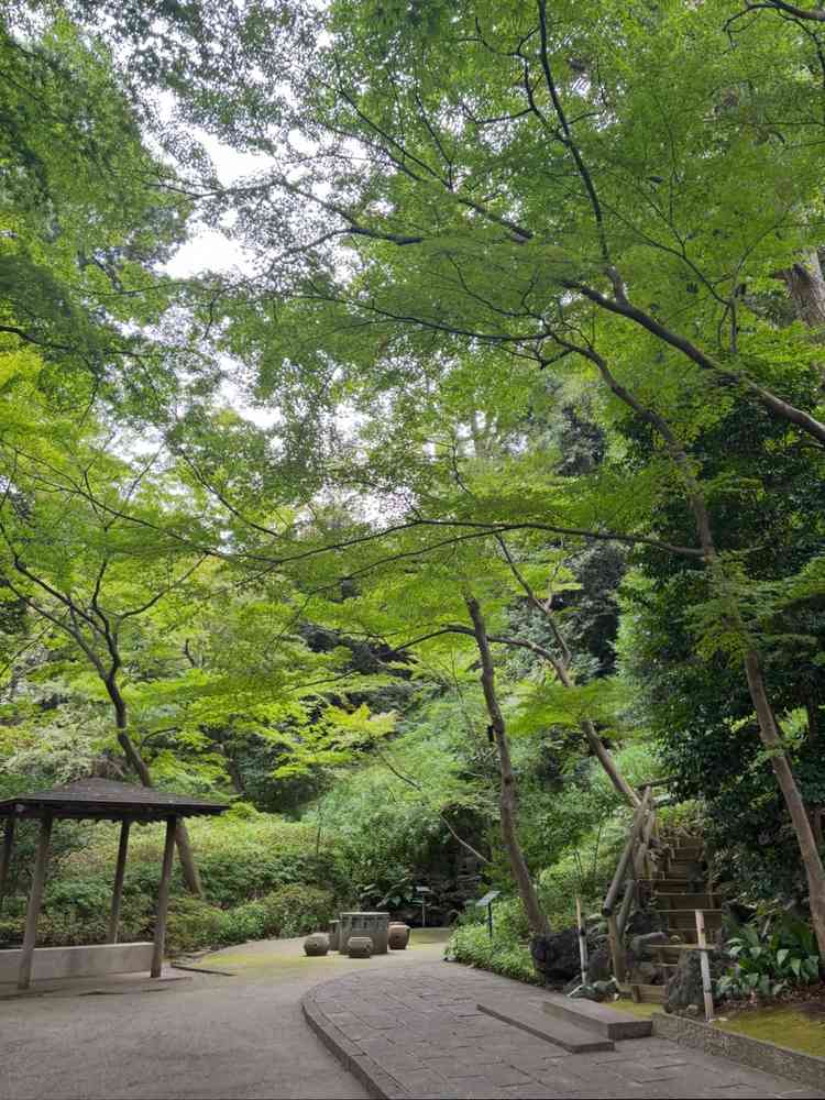 チャペルまでの中庭の道。