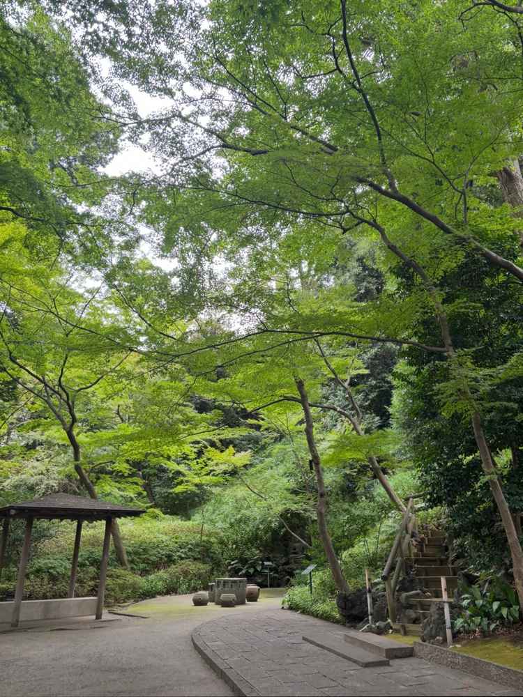 チャペルまでの中庭の道。