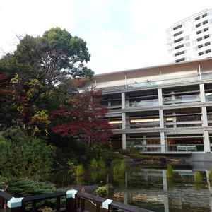 白無垢を着て、両親兄妹のみで歩くことができる橋。今は冬なので、緑がないが夏になると翠が生い茂る様子