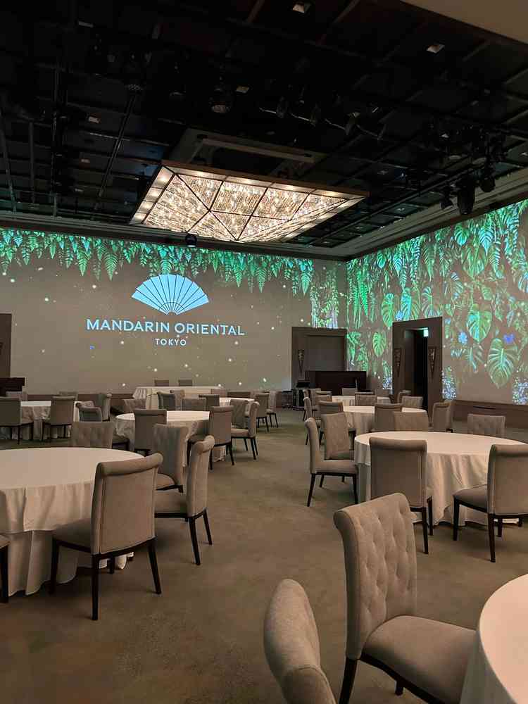 木々の緑が綺麗なプロジェクションマッピングです。選べるプロジェクションマッピングも複数あるようです。