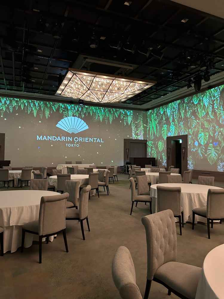 木々の緑が綺麗なプロジェクションマッピングです。選べるプロジェクションマッピングも複数あるようです。