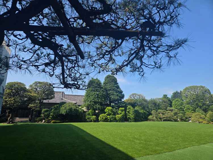 広大な庭園が広がっていました。一部は日陰になるため、夏場でも比較的快適に過ごせそうな印象です。