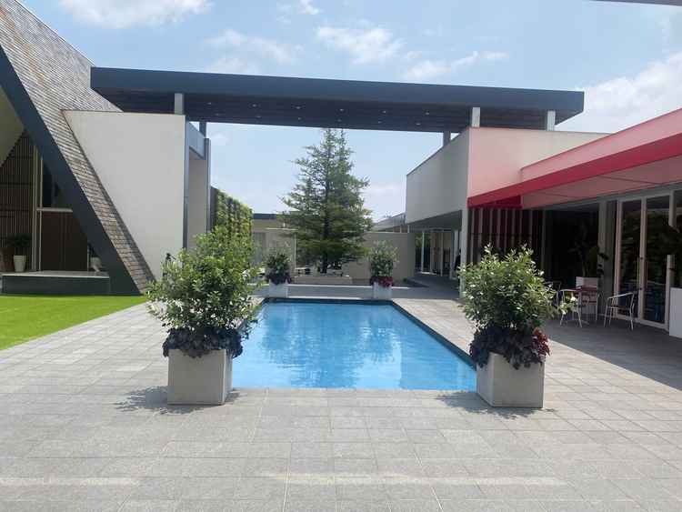 自然を感じられるテラス