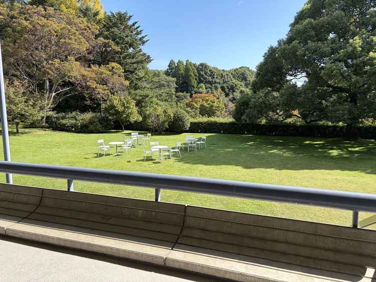 木々に囲まれた芝生の庭園です。屋外には白いテーブルと椅子が並んでいます。