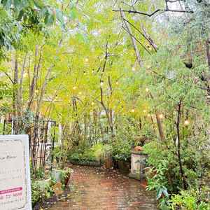 入口から入ったところ。本物の木が植っていて、森のような雰囲気が感じられます。
