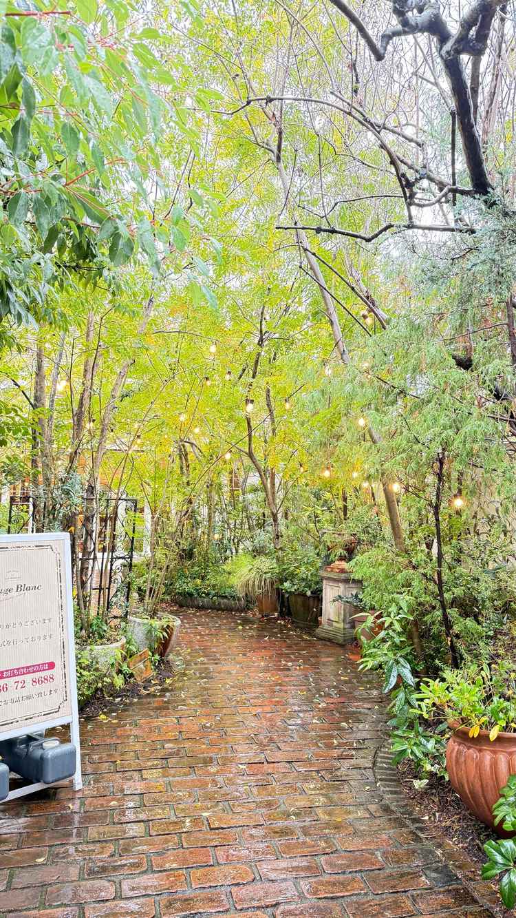 入口から入ったところ。本物の木が植っていて、森のような雰囲気が感じられます。