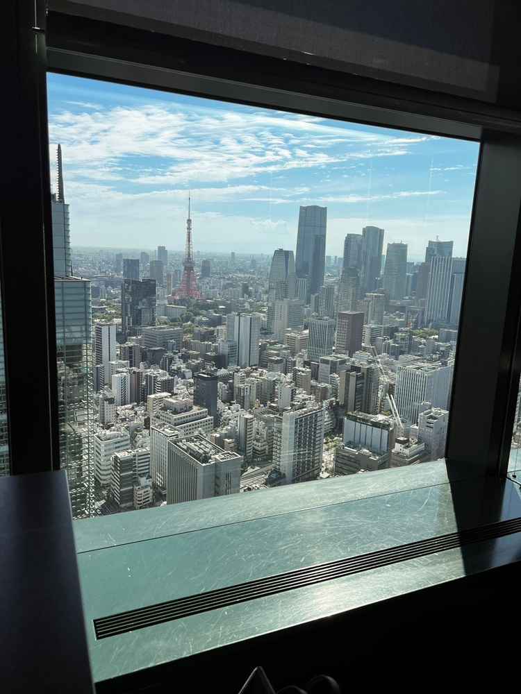 東京タワーが一望できる眺め。夜景には期待ができる！！