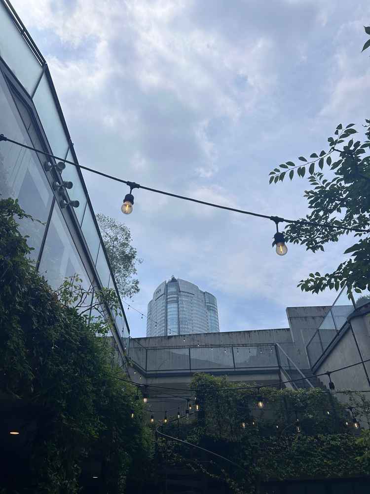 中庭から見える空は周りの建物に邪魔されず、自然光が届く造りになっていました。明るい雰囲気でした。