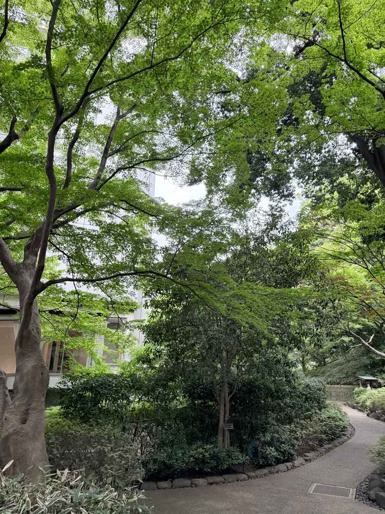 都心とは思えない静けさと雰囲気の良さ