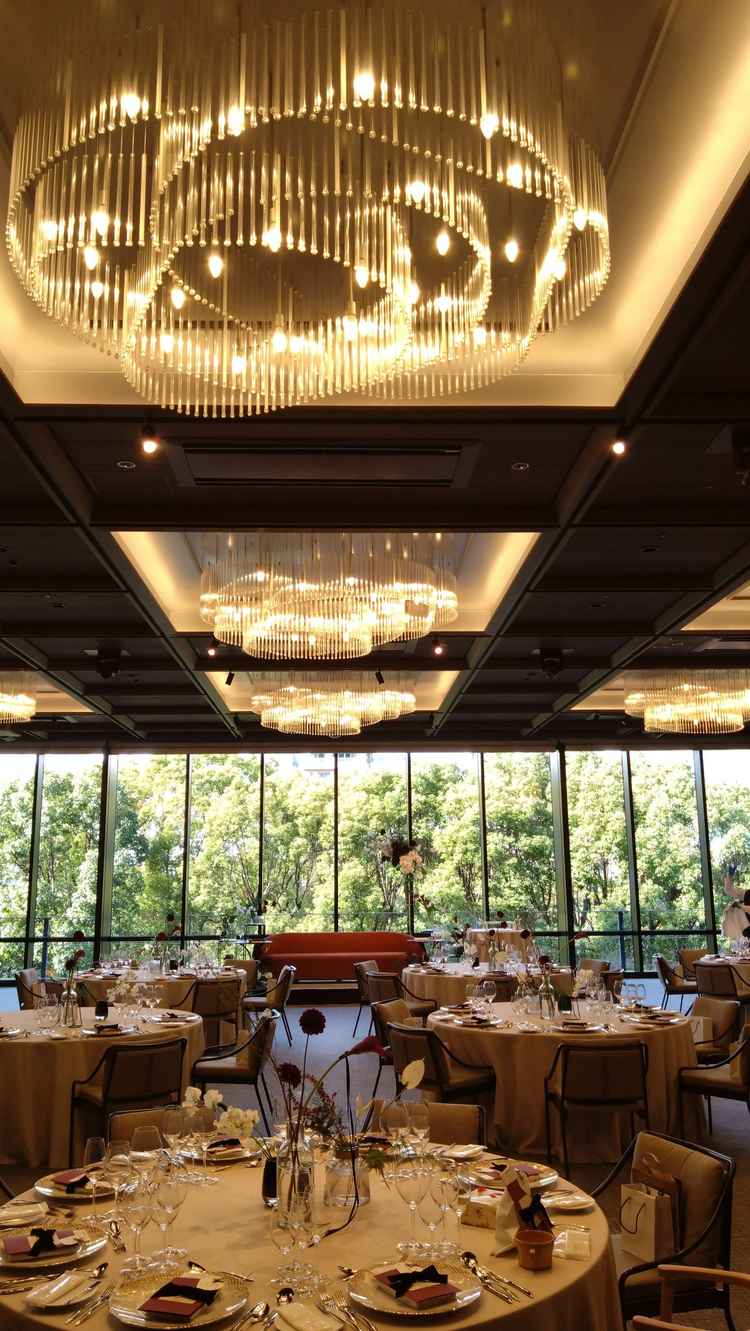 窓の外は久屋大通公園の緑がきれいに見えていて、自然豊かな風景の印象