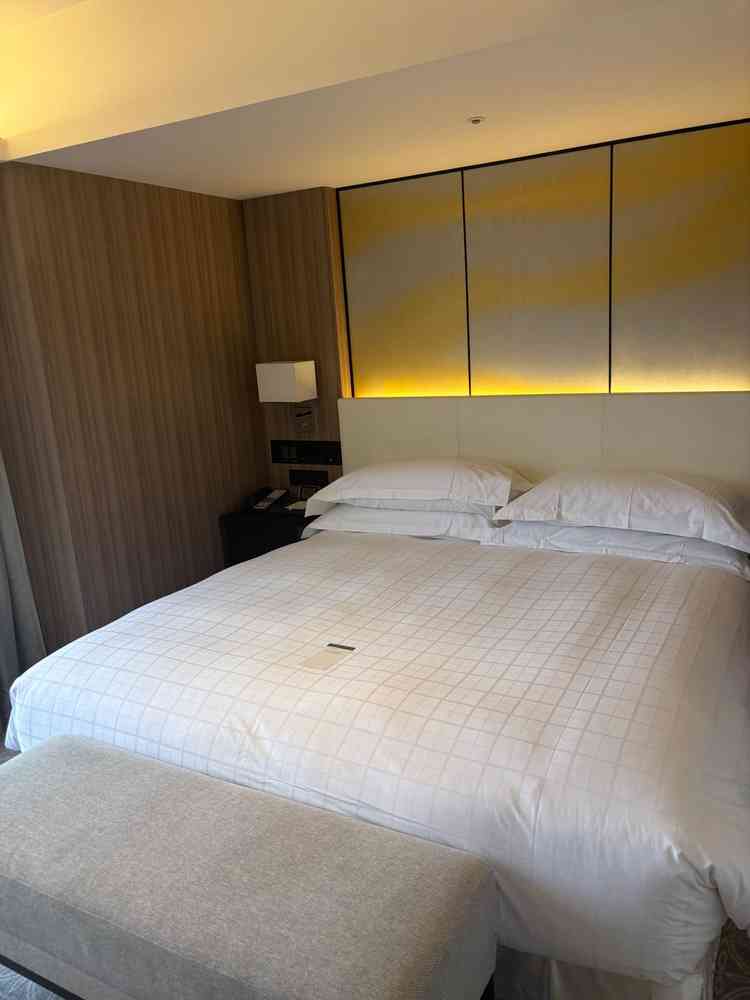 宿泊施設が豪華でした。