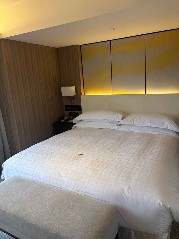 宿泊施設が豪華でした。