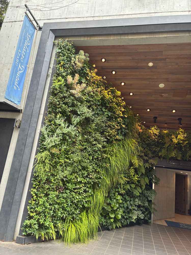 入り口横の緑の壁。写真映えしそう。