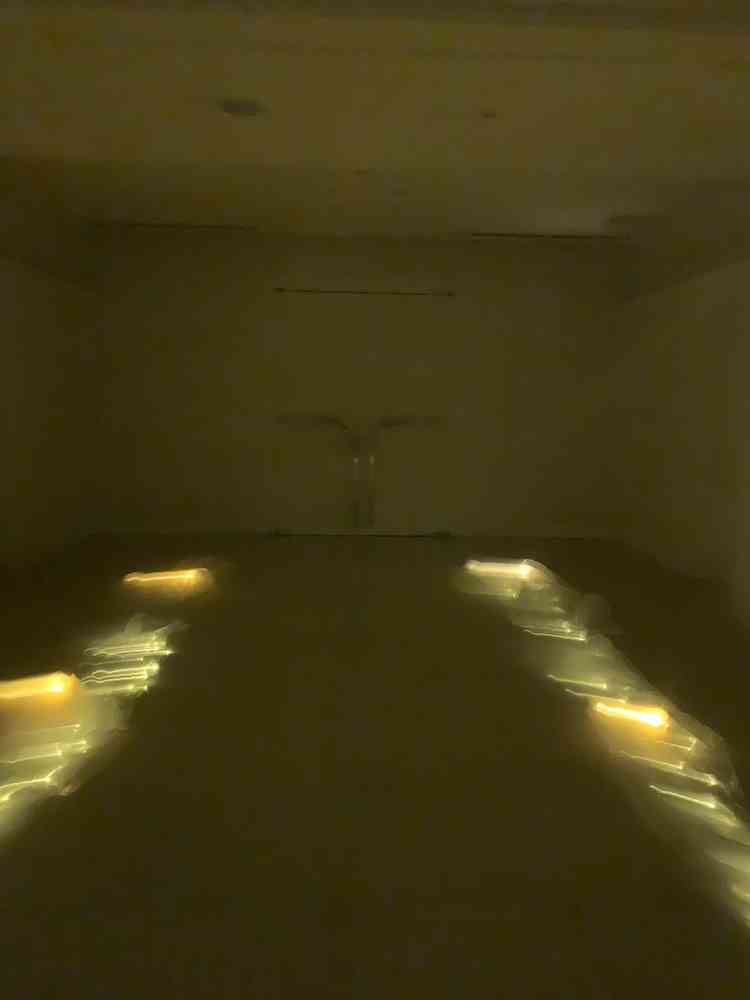 ユーザーが投稿した画像2