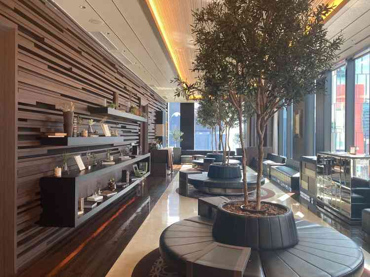 受付のロビー。日当たりがよく、落ち着ける空間。