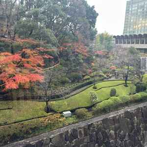 きくの間から見える日本庭園。滝が見えてとても綺麗です。天気が悪めでしたが気になりませんでした。
