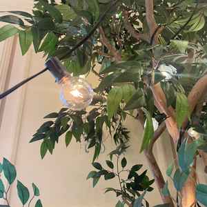 緑がライトと融合して綺麗でした。