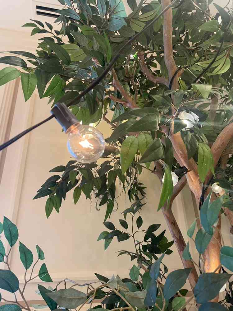 緑がライトと融合して綺麗でした。