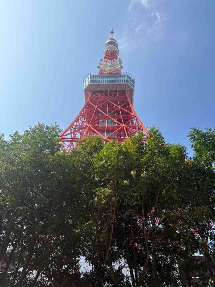 レストラン会場のガーデンから見上げた東京タワー