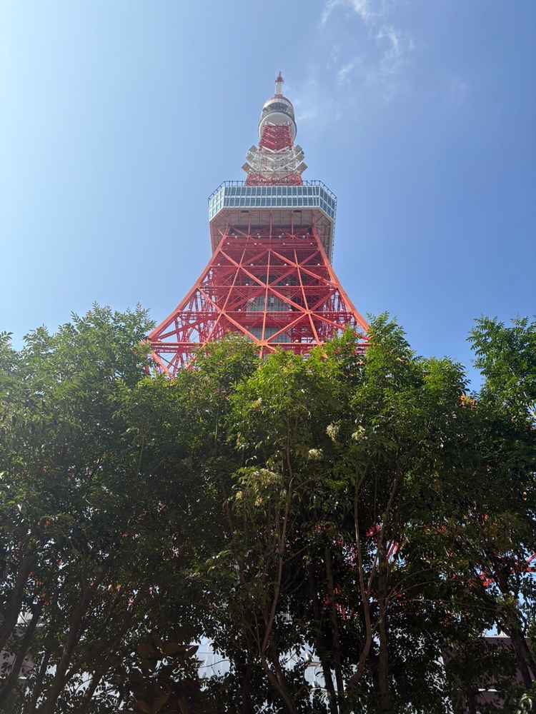 レストラン会場のガーデンから見上げた東京タワー