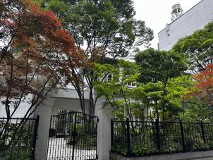 定禅寺通りから見た外の感じ