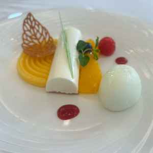 試食会のデザート。彩り豊かでとても華やか。ムースやシャーベットと食感が様々で食事を楽しめました。